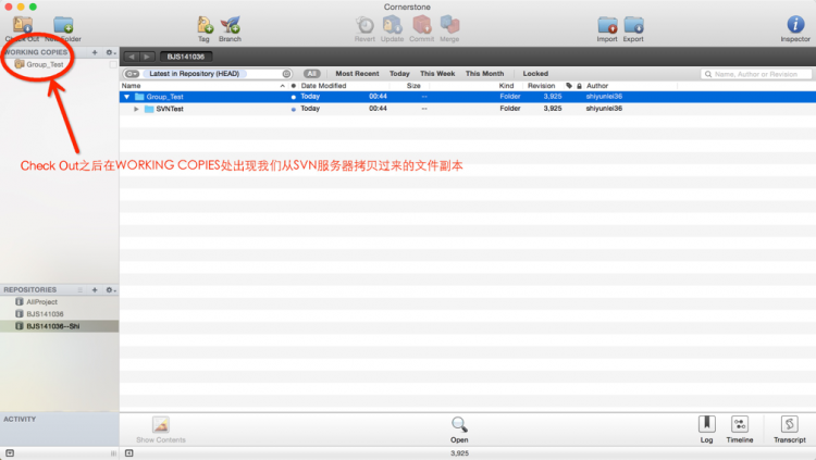 另外如果你想要使用SVN进⾏版本控制的话,那么需要把服务器上的文件Check Out到本地