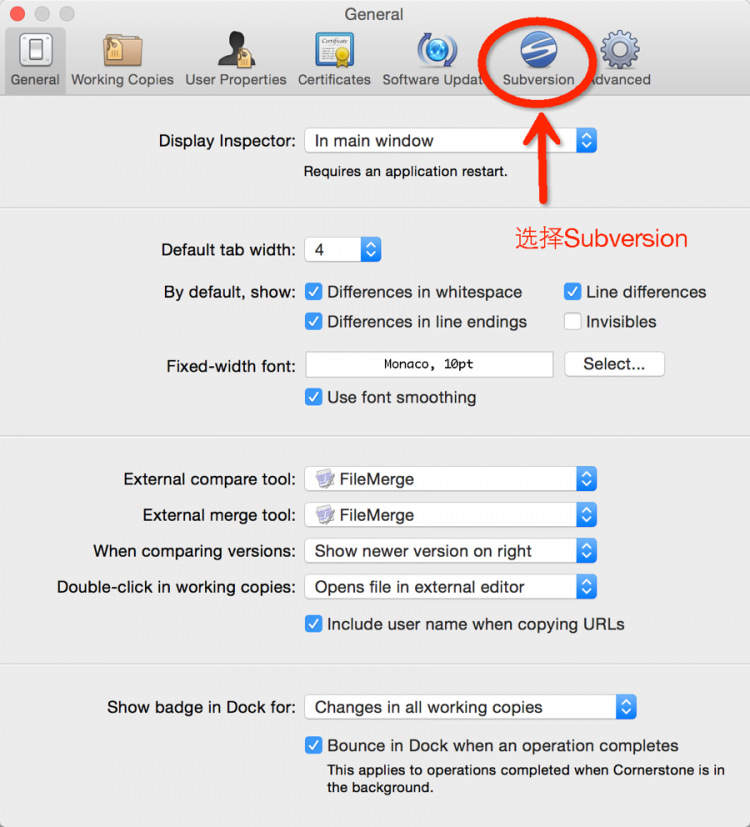 选择Preferences