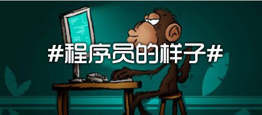 高级JAVA程序员应该具备什么样的能力？